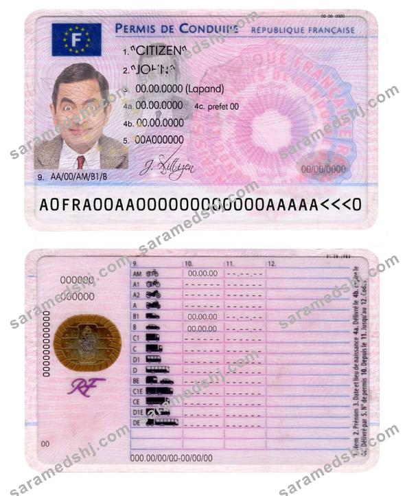 France driving license